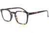 Cute trendy reading glasses for men COLORS : 61 TORTOISE